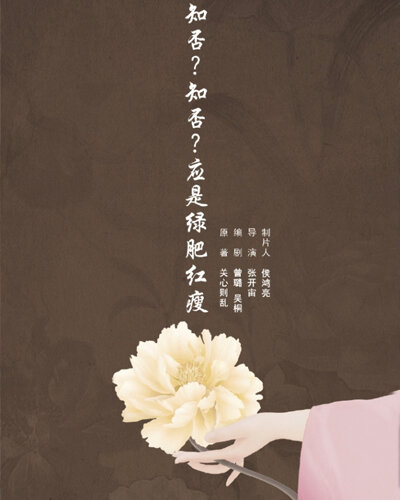 知否知否应是绿肥红瘦海报